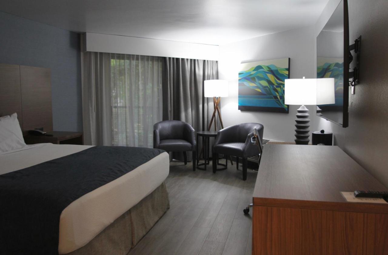 Hayward Inn Eugene Esterno foto